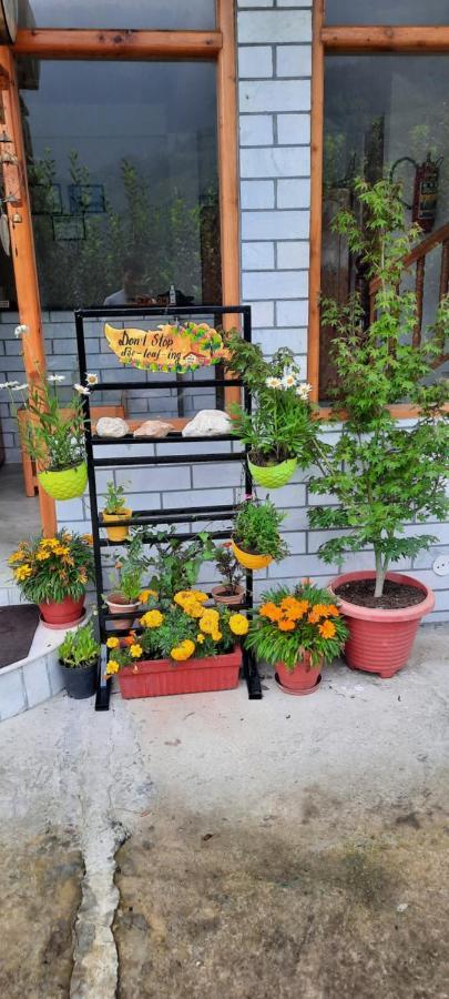 God'S Land Bed & Breakfast Manali  Exterior photo